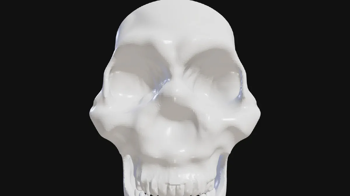 Skull